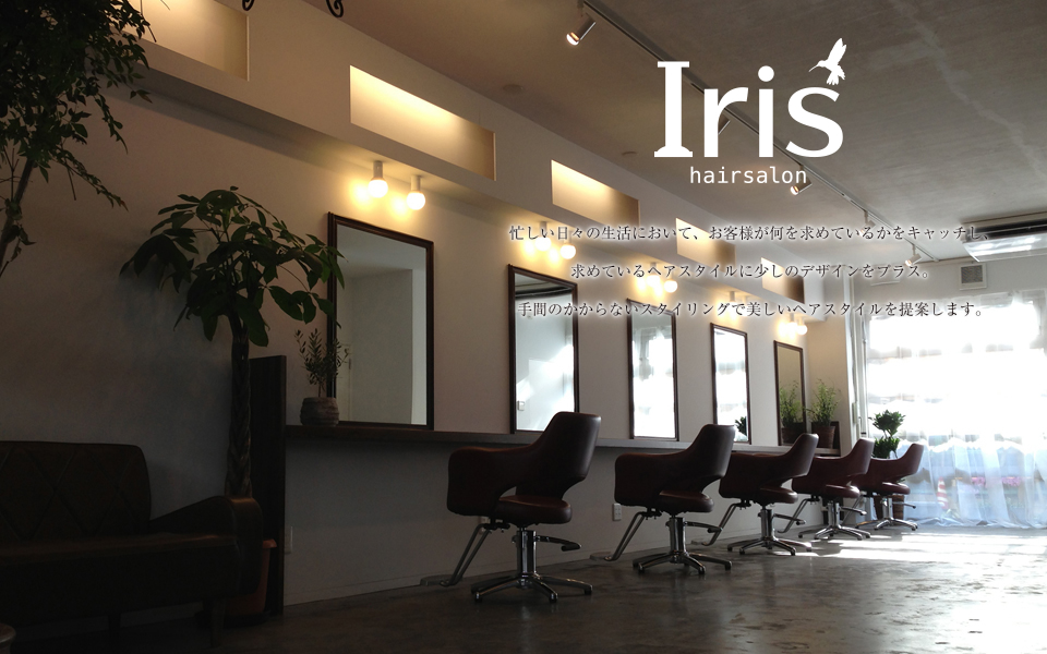 Iris Hairsalon